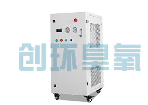 汕头石斑鱼养殖水质调控完整指南:臭氧发生器配置与操作步骤