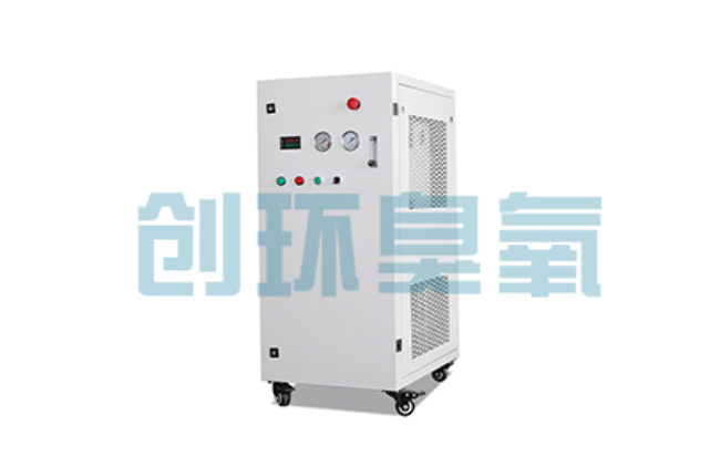 汕头比传统换水更高效?臭氧发生器在石斑鱼养殖中的水质净化原理解析